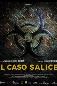 ���� ������ (2020)