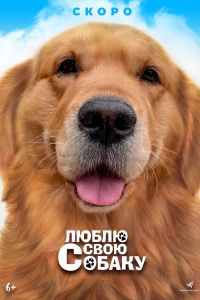 ����� ���� ������ (2023)