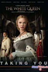 ����� �������� (1 �����)