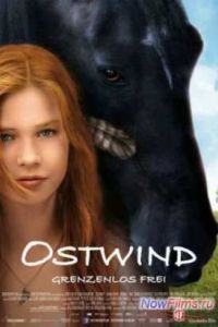 ��������� ����� (2013)