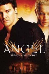 ������ ����� (1994-2004)