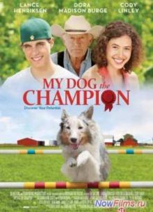 ������� (2013)