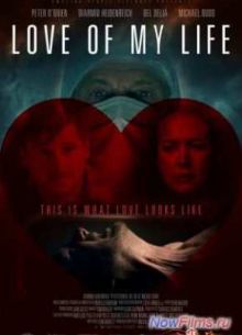 ������ ���� ����� (2013)