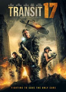 ������ 17 (2019)