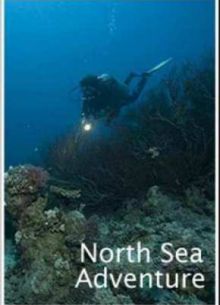 ����������� � �������� ���� (2010)