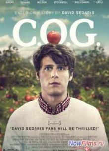 ����� ���� (2013)