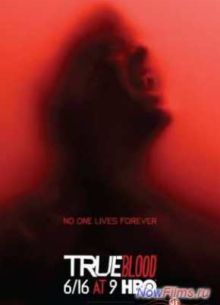 ��������� ����� (6 �����) (2013)