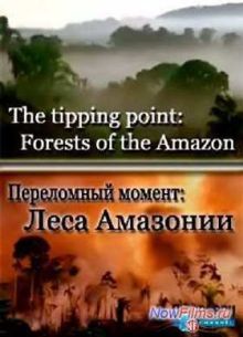 ���������� ������: ���� �������� (2014)