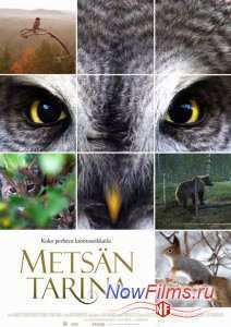 �������� ��� (2012)