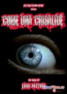 �������� � �������-������� ����� (2010)