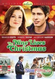 ������ ������ ��������� (2014)