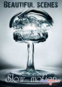 �������� ����� / ����������� �������� (2013)