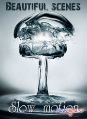 �������� ����� / ����������� �������� (2013)